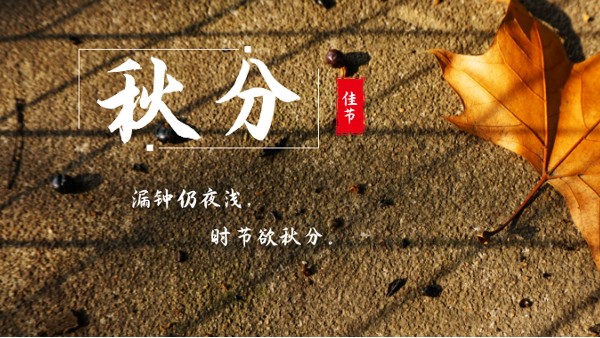 樓上樓門窗 | 白露秋分夜,一夜冷一夜，高端門窗安排上！